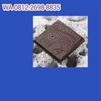 WA 0812-2698-8835 makanan pemulih stamina untuk Ejakulasi Dini  Coklat V-10 Tulungagung Jatisampurna