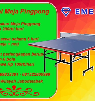 Rental Sewa Tenis Meja Pingpong fullset