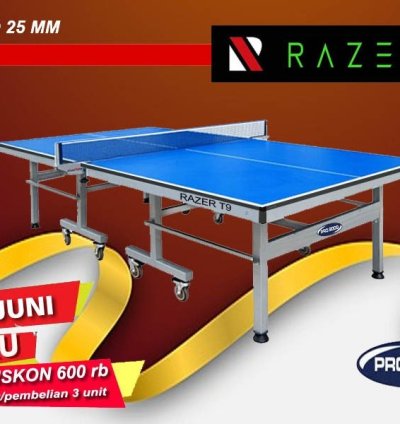 Tenis Meja Pingpong merk RAZER T9
