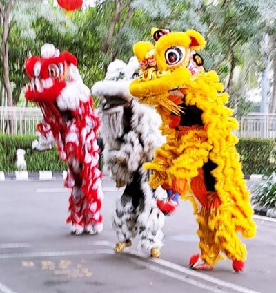 Grup Barongsai Ci Apoy
